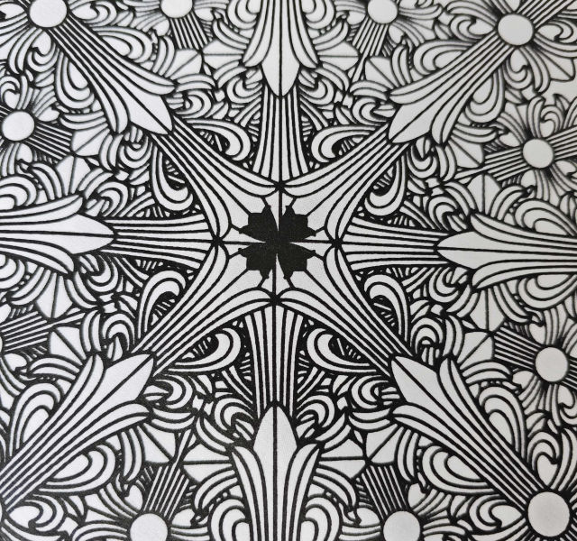 71361cf61ab4f25d208134704e258640_1745695181_5502.jpg
