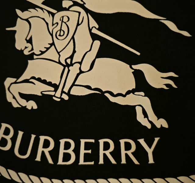 e2473ba9fec0f0fc20a5c4e858f8285b_1750362889_7066.jpg