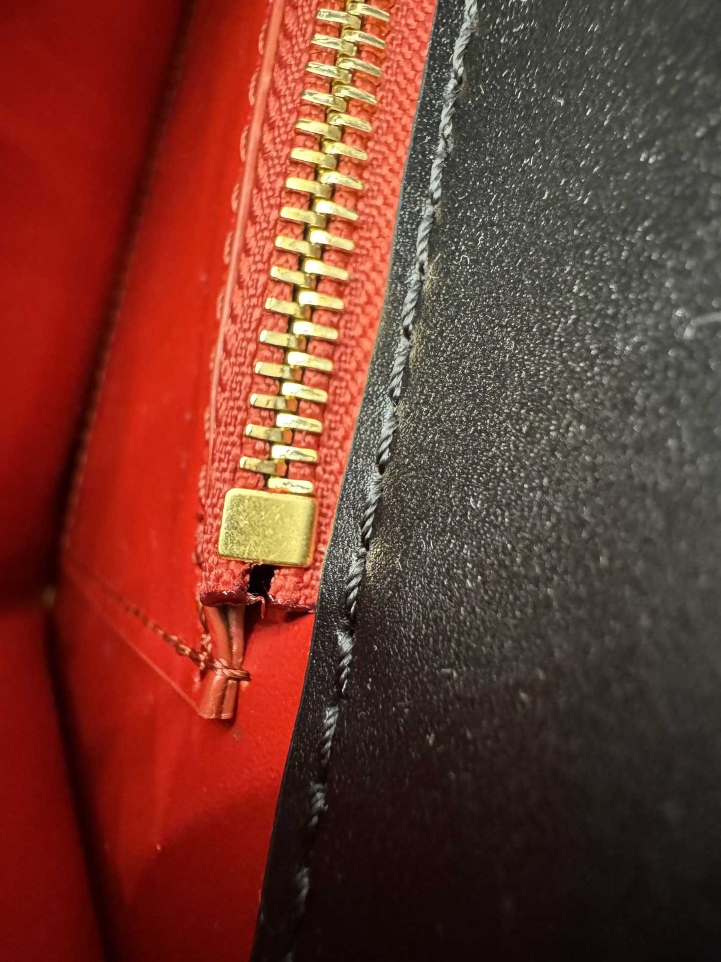 8ddf4dc229507.jpg