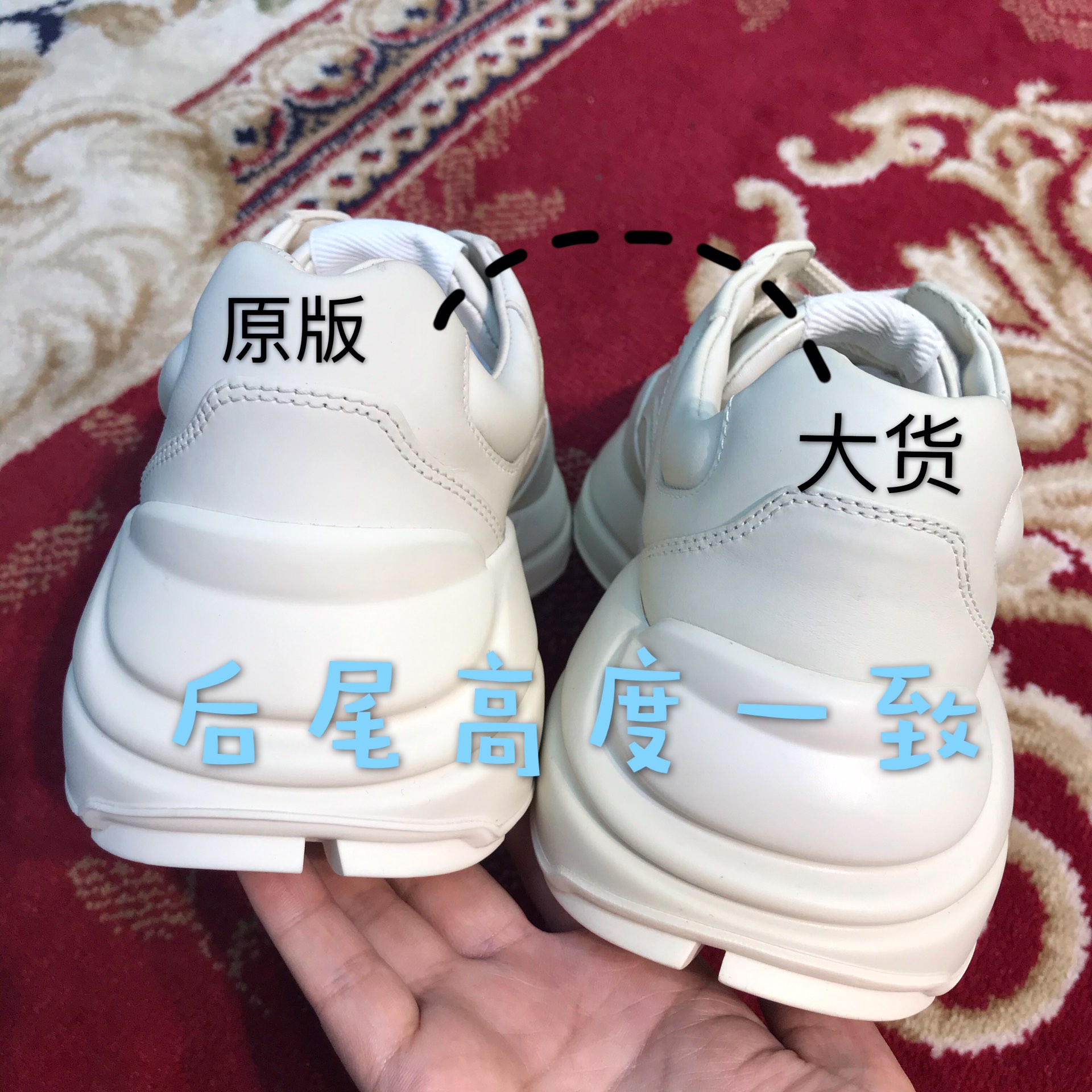 d0c31ce52885d.jpg