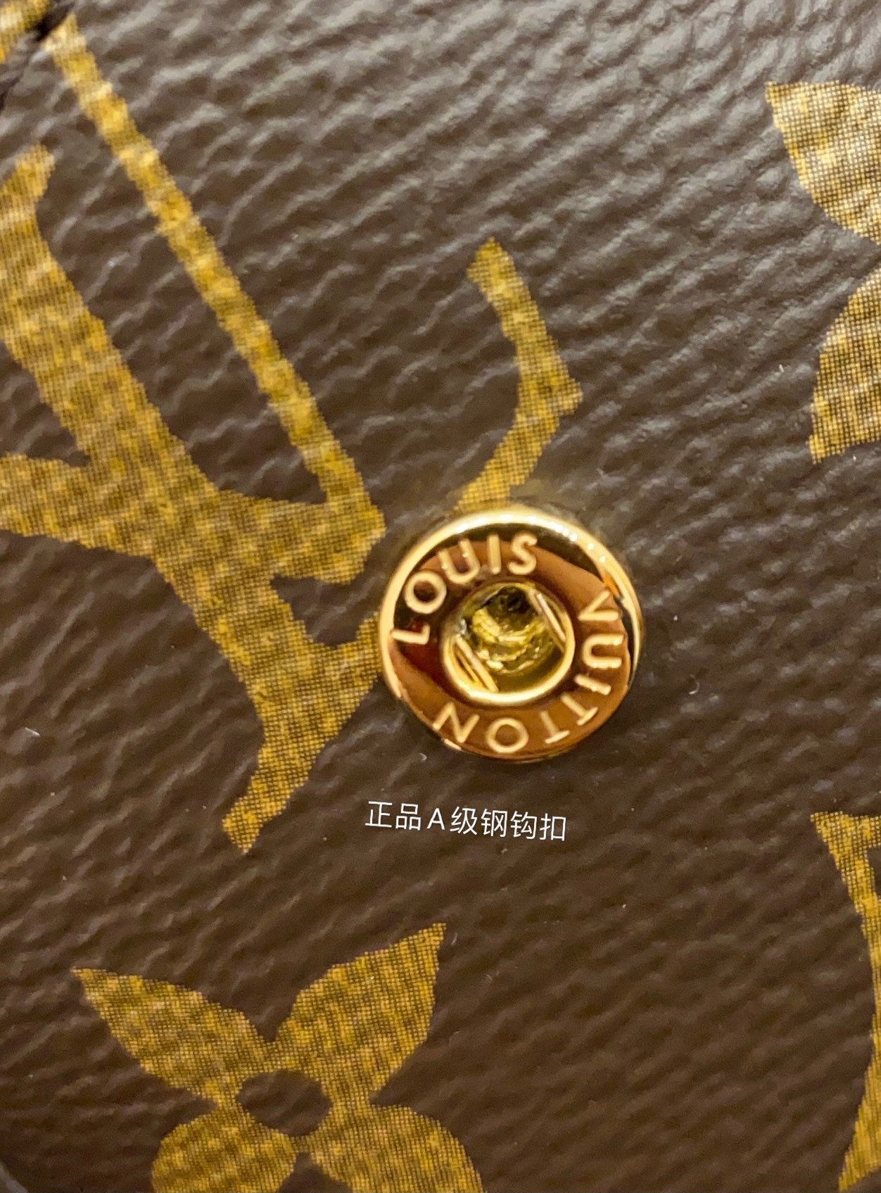 f77f7bf765592.jpg
